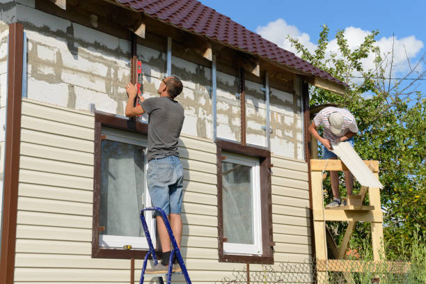 Best Custom Siding Design  in Lonville, GA
