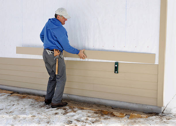 Best Custom Trim and Detailing for Siding  in Lonville, GA