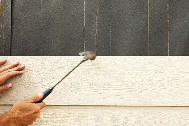  Lonville, GA Siding Pros